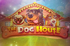 The Dog House
